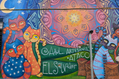 PXL_20240921_183658986