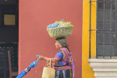 PXL_20240924_210412753