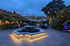 PXL_20240925_000356289.NIGHT_