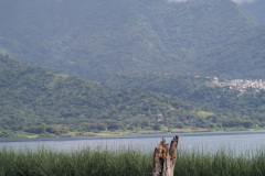 PXL_20240928_153404899