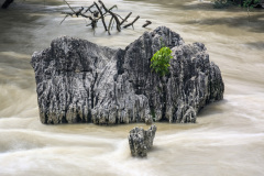 PXL_20241001_185741718.LONG_EXPOSURE-01.COVER_