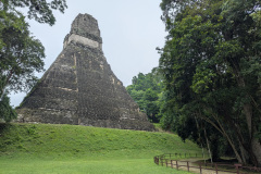 PXL_20241005_140438197.RAW-01.COVER_