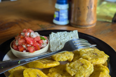 PXL_20240827_184903829.PORTRAIT