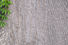 PXL_20240827_230400413.RAW-01.COVER_