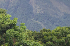 PXL_20240827_231129637