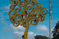 PXL_20240829_151218010.RAW-02.ORIGINAL