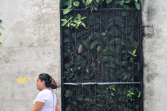 PXL_20240831_165953668